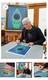 Alex Grey Édition Limitée Imprimé Holographique Embossé Signé Lucis ÉpuisÉ Tool