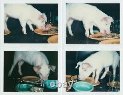 Andy Warhol Fiesta Pig 184 tirage, ? 22x30 pouces Signé Numéroté 1979 NYC