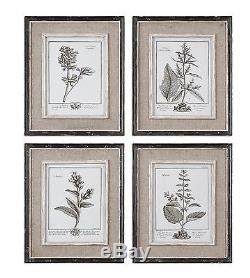 Antique Art Botanique, Peintures Murales, Imprimés, Gris, Fleurs, Arbrisseau, Encadré