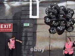 Banksy ! Dismaland authentique, je suis un imbécile, ballon rare Shrigley