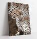 Cheetah Grande Toile Wall Art Float Effet/image/affiche Imprimé- Beige