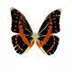 Damien Hirst Butterfly Souls Iii Numéro 1 De 15 Édition Limitée Signée