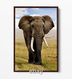 Elephant 2 Grande Toile Wall Art Float Effet/image/affiche Imprimer-gris