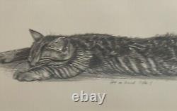 Esquisse de chaton au crayon signée, montée dans un cadre doré, 50cm x 33cm