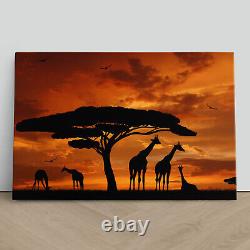 Giraffe Troupeau Au Coucher Du Soleil Toile Impression Photo Encadrée Mur Art Affiche Giraffes