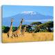Giraffes Kenya Mont Kilimandjaro Safari Toile Encadrée Wall Art Picture Print