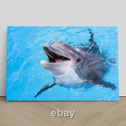 Impression sur toile encadrée de photo de dauphin souriant mignon de près