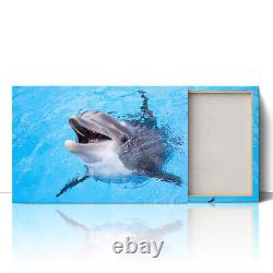 Impression sur toile encadrée de photo de dauphin souriant mignon de près