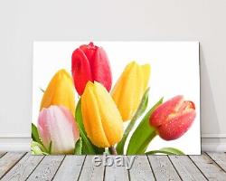 Impression sur toile encadrée de tulipes colorées