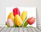 Impression Sur Toile Encadrée De Tulipes Colorées