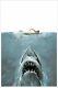 Jaws The Shark Affiche Sérigraphie Art Mondo Roger Kastel Édition Limitée Pcc
