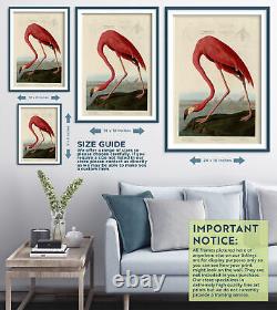 John James Audubon Flamant rose américain (1832) Affiche d'art imprimée Birds of America