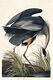 John James Audubon Grand Héron Bleu (1827) Affiche Photo De Peinture Impression Art