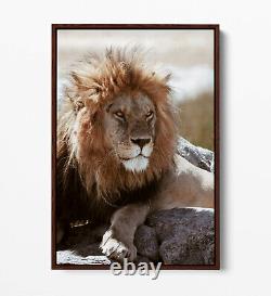 Lion 5 Grand Art Mural sur Toile Effet Flottant/Cadre/Poster Impression Gris Brun