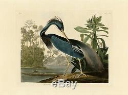No. 217 Louisiana Heron Imprimer Repro Audubon Havell Édition Double Elephant Folio