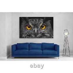 Owl Staring Cute Canvas Imprimer Photo Encadrée Wall Art Poster Paper Close Up