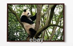 Panda 2 Grande Toile Wall Art Float Effet/cadre/image/affiche Imprimé-noir