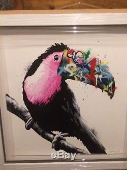 Rare Toucan Print By Martin Whatson Pink Edition Terminée À La Main De 15 Encadrée