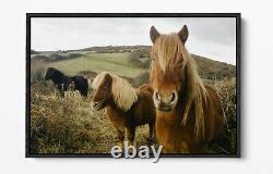 To translate the title 'Horses Large Canvas Wall Art Float Effect/frame/picture/poster Print- Brown' into French, it would be: 'Chevaux - Grande toile d'art mural avec effet de flottaison/cadre/image/affiche - Marron.'