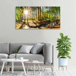 Tulup Verre Acrylique Imprimer Wall Art Image 100x50cm Panorama De La Forêt